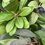 Blueberry Eucalyptus Wreath, Year-Round Front Door Decor