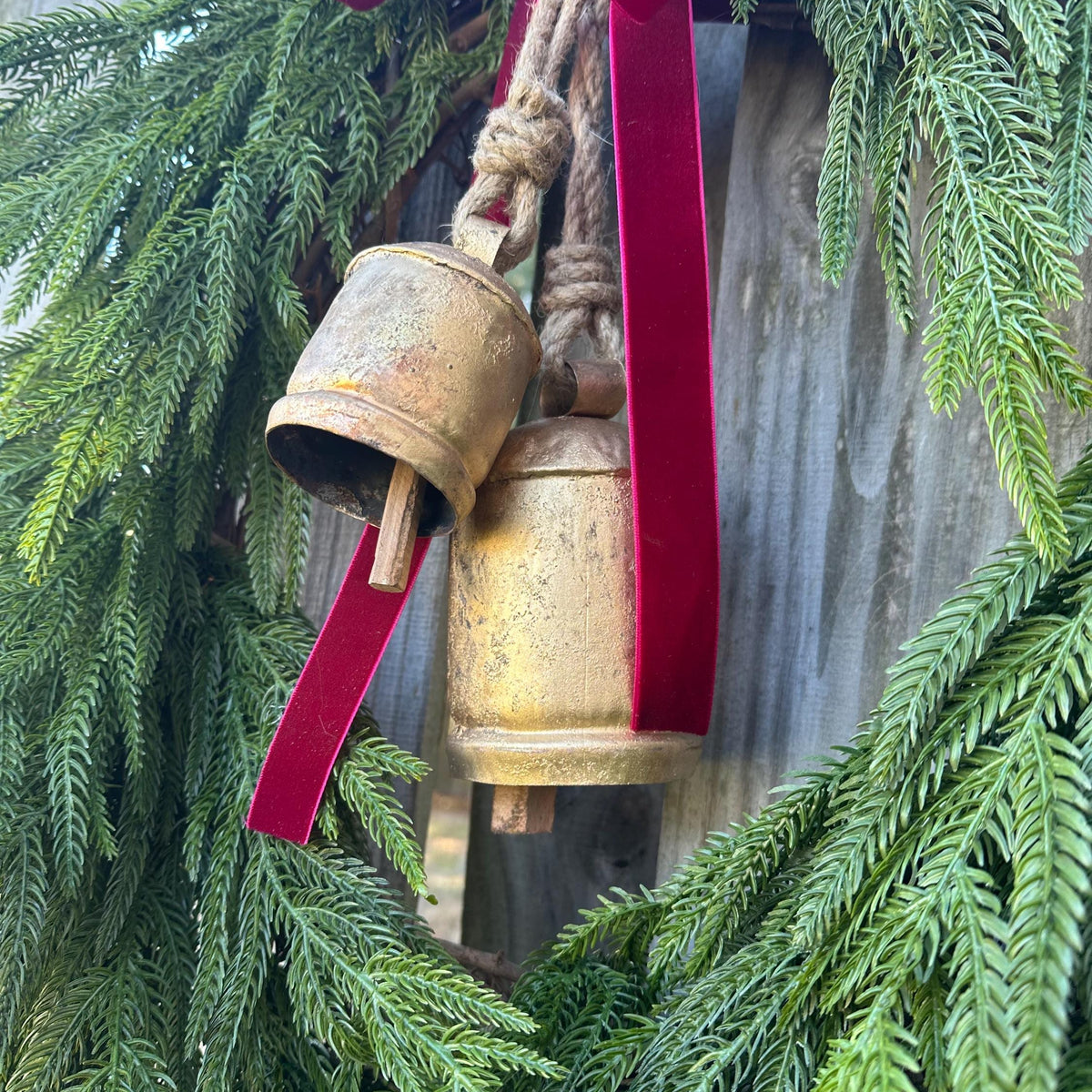 Norfolk Pine Wreath, Brass Bells, Cranberry Velvet Ribbon, Winter Decor