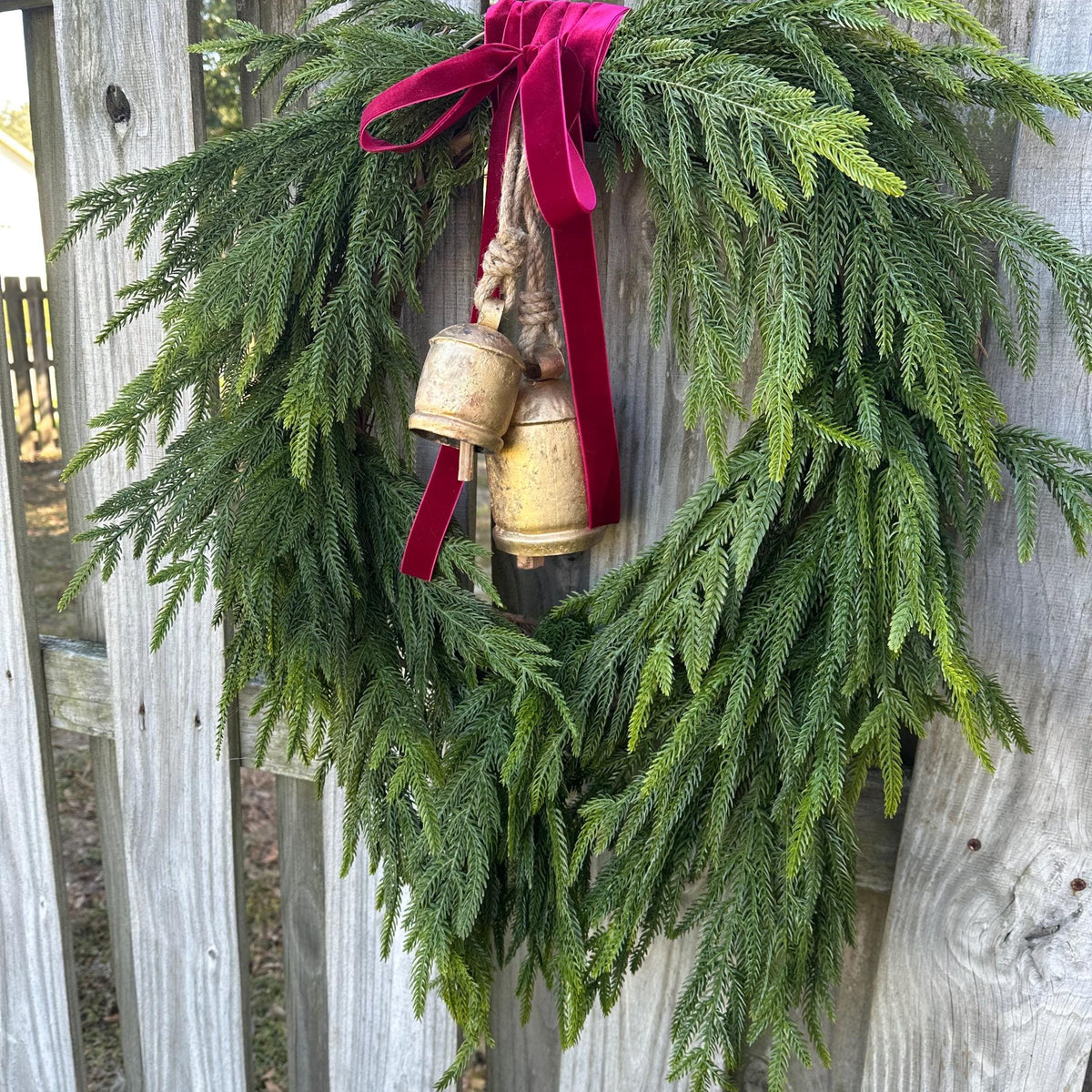 Norfolk Pine Wreath, Brass Bells, Cranberry Velvet Ribbon, Winter Decor