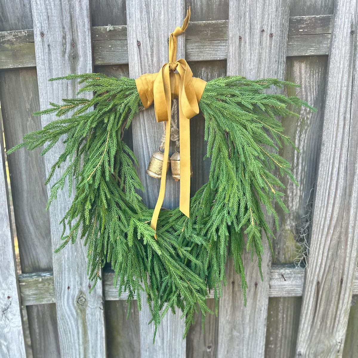 Norfolk pine front door wreath with brass bells, winter wreath, Christmas door wreath, gift for home decor lovers, perfect for winter season