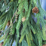 Norfolk Pine Winter Wreath, Farmhouse Front Door Decor, Hanukkah Design