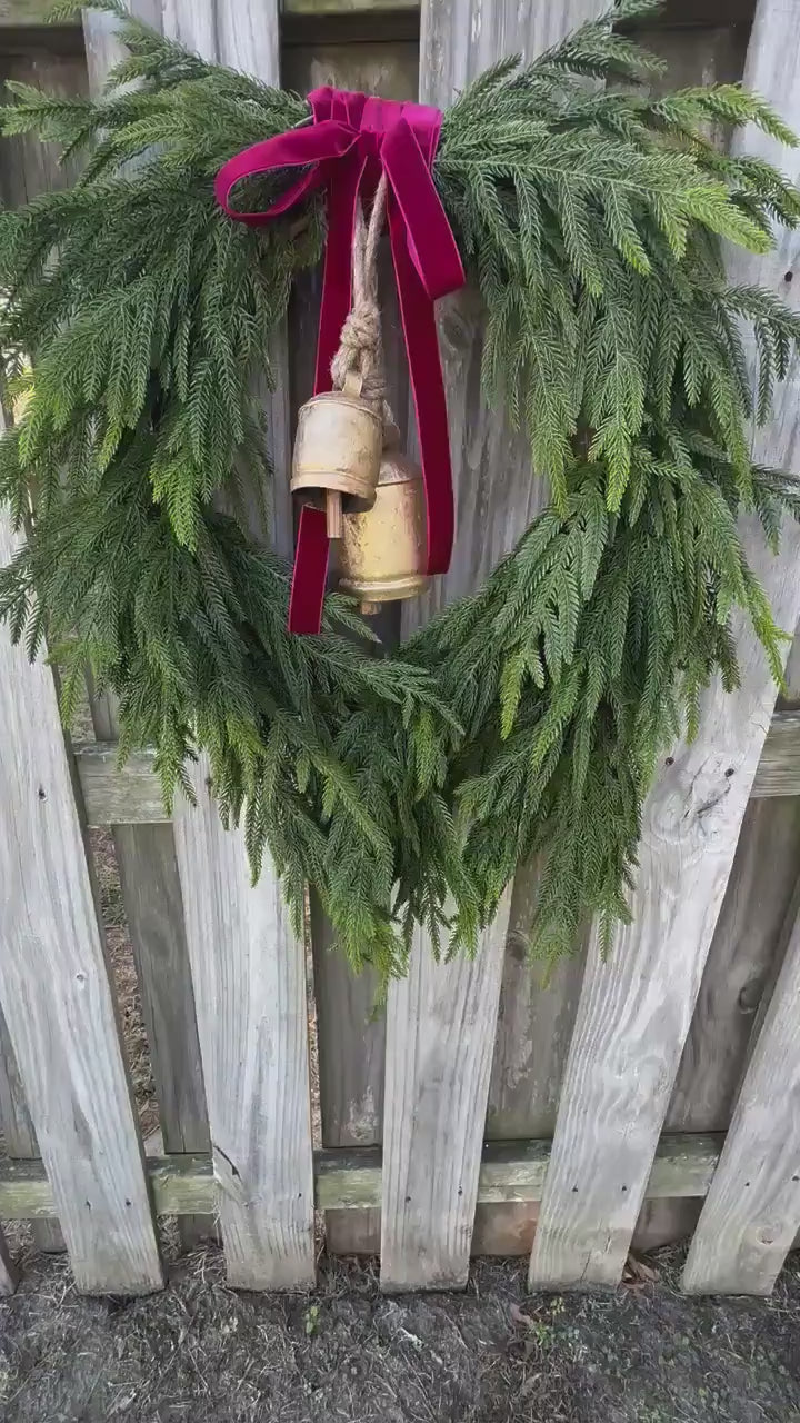 Norfolk Pine Wreath